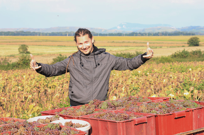 Vinobraní III.