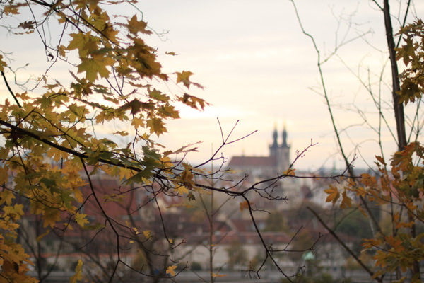 Letná II.